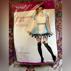 Alice in Wonderland costume